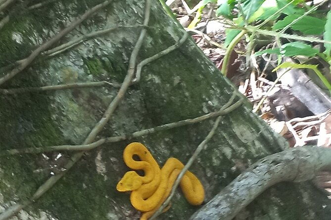 tropical-hike-in-the-gandoca-manzanillo-wild-life-refuge