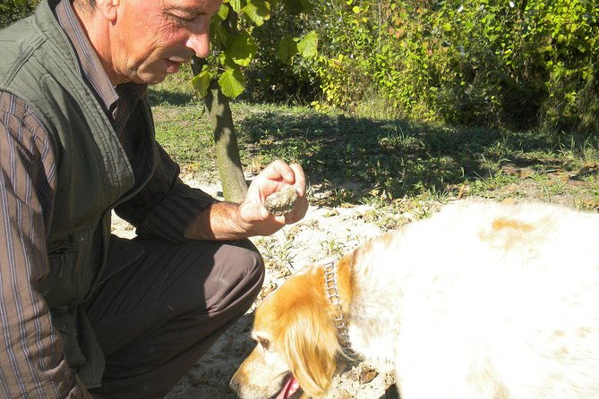 truffle-hunt-wine-tasting