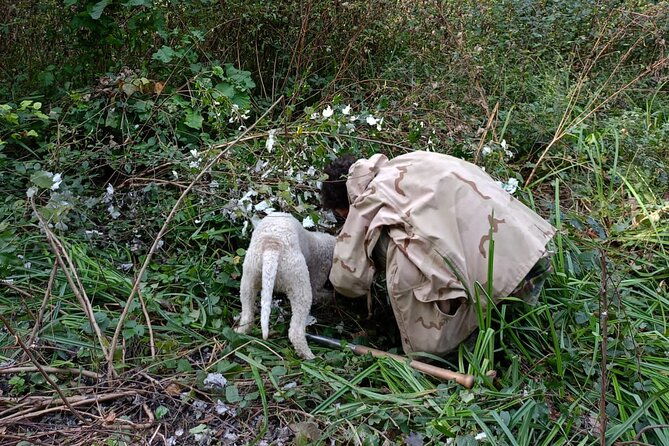 truffle-hunting-in-san-miniato-in-tuscany-with-tasting