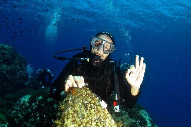 try-scuba-diving-2