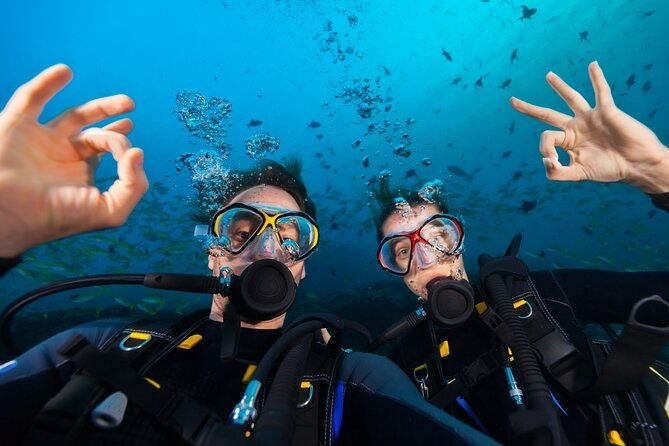 try-scuba-diving-in-kauai-from-a-boat-for-non-certified-divers