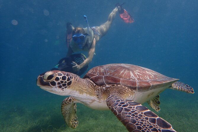 turtle-beach-power-snorkeling-adventure