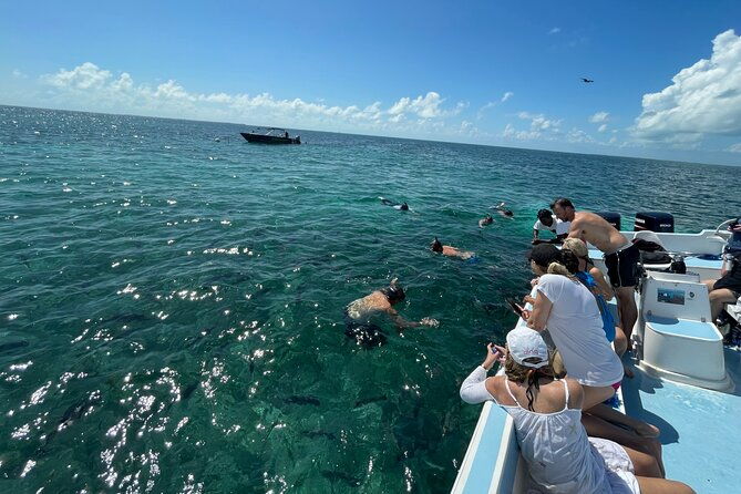 turtle-garden-snorkeling-tour-and-island-break