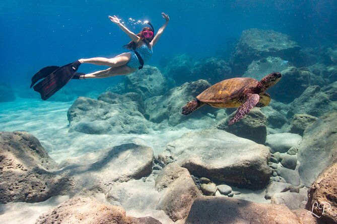 turtle-gardens-west-maui-snorkel-tour