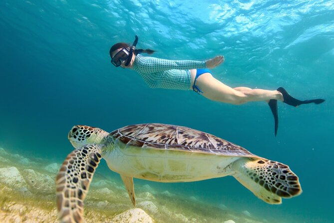 turtle-snorkel-sail-on-buck-island-from-frenchmans-reef