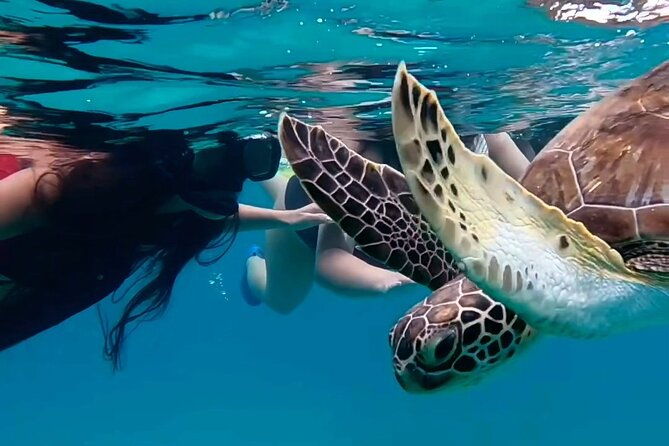 turtle-snorkeling-private-videography-tour