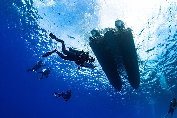 two-tank-morning-reef-dive-and-snorkel-2