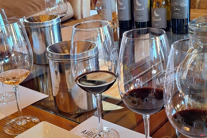 uco-valley-wineries-day-with-private-driver