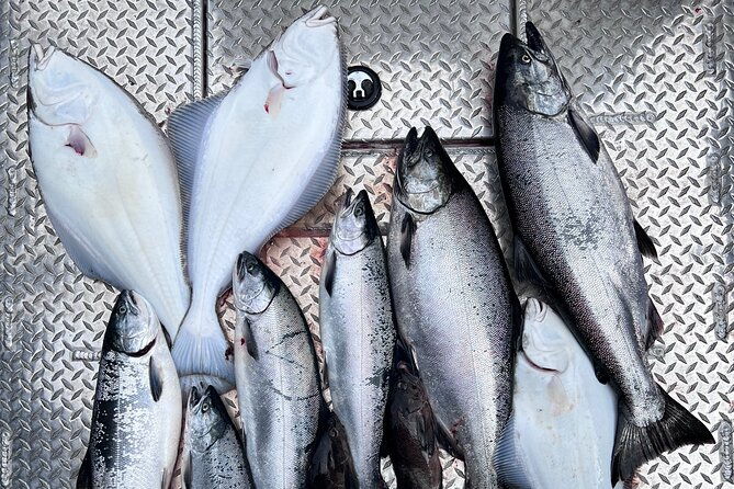 ultimate-ketchikan-salmon-and-halibut-fishing-adventure