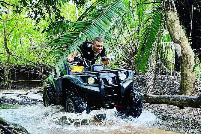 unique-4-wheels-tour-for-families-on-a-private-pineapple-farm