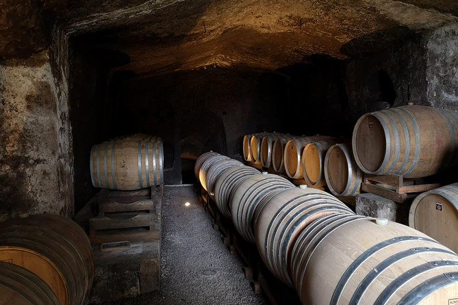 unique-enobike-experience-with-tasting-in-2-excellent-wineries