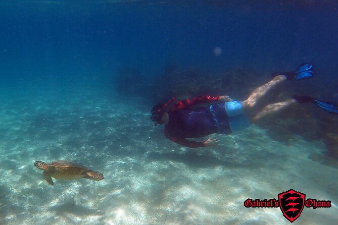 unlimited-guided-whale-watch-by-kayak-olowalu