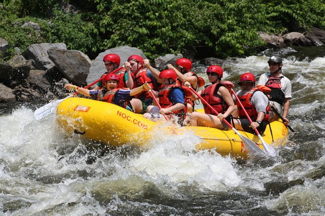 upper-pigeon-river-whitewater-rafting