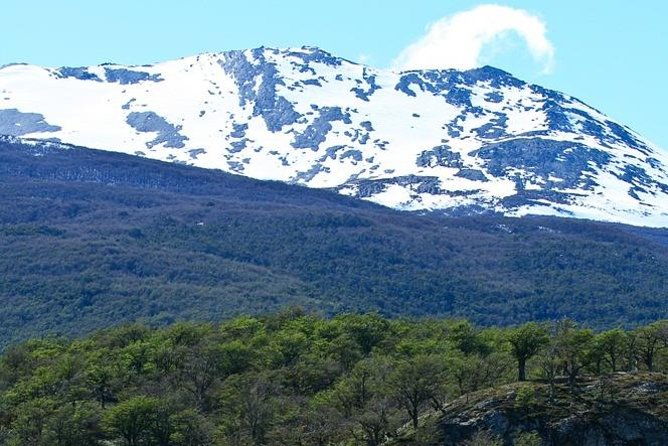 ushuaia-shore-excursion-private-tour-of-tierra-del-fuego-national-park