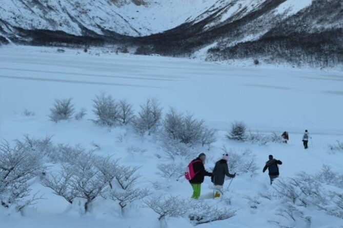 ushuaia-white-adventure-in-sleighs-with-huskys