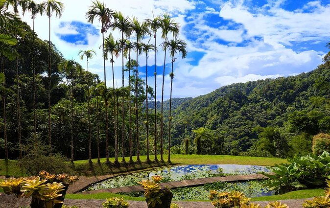 v-i-p-green-escape-1-botanical-garden