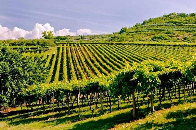 valpolicella-the-wine-paradise