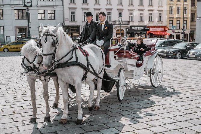 vienna-horse-drawn-carriage-ride-with-sparkling-wine-and-food