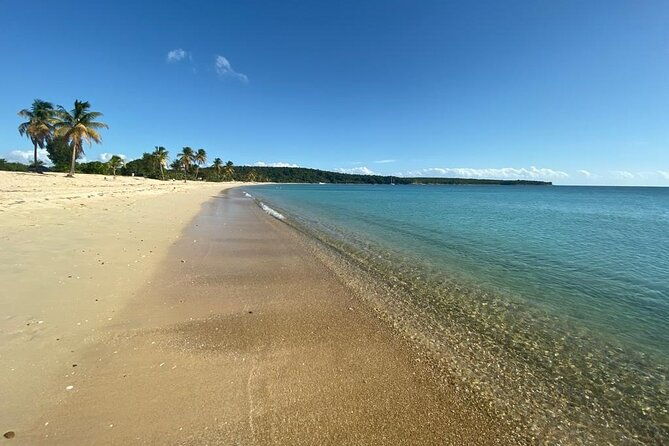 vieques-bio-bay-tour-and-beach-day-trip-from-san-juan-by-ferry
