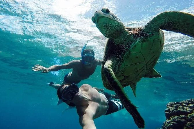 vieques-snorkeling-boat-tour-from-san-juan