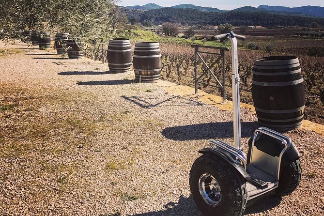 vineyard-visit-in-gyropode-visit-of-cave-tasting-wines-of-bandol