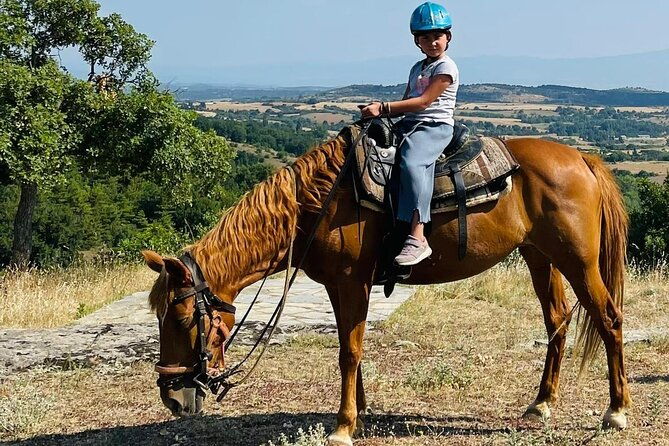 visit-a-farm-and-horseback-riding-in-nature-2