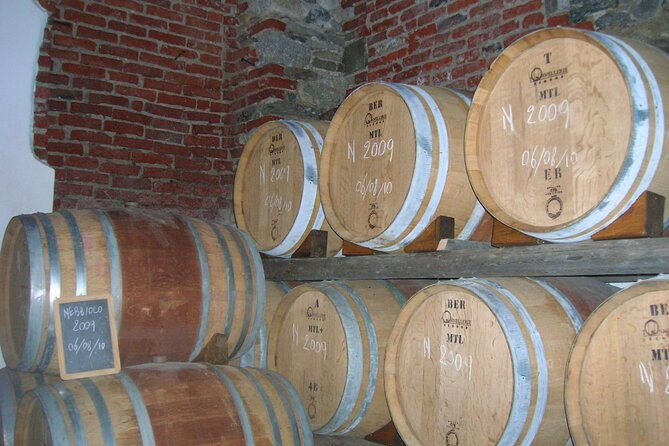visit-and-tasting-of-4-d-o-c-wines-fontechiara