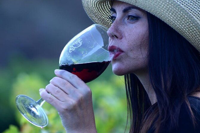 visit-bodegas-teneguia-winery-in-la-palma-with-wine-tasting
