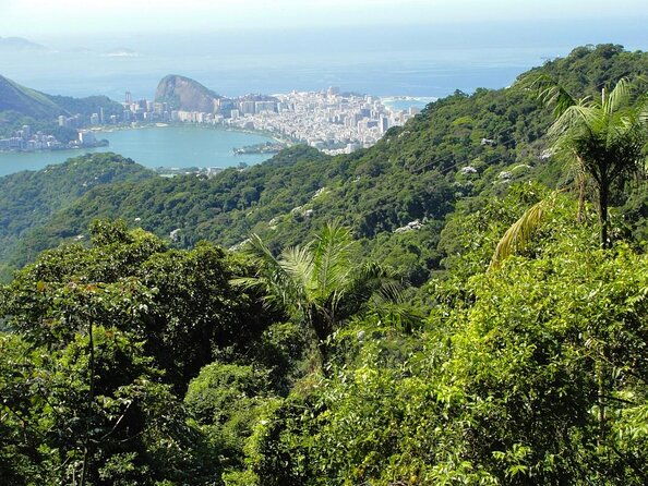 visit-the-best-spots-in-tijuca-forest-hike-to-caves-falls