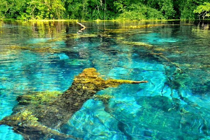 visit-the-national-park-of-blue-eye-lekuresi-castel-4