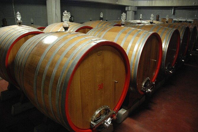 visit-to-a-winery-in-salento-with-wine-tasting-and-light-lunch-from-lecce-2