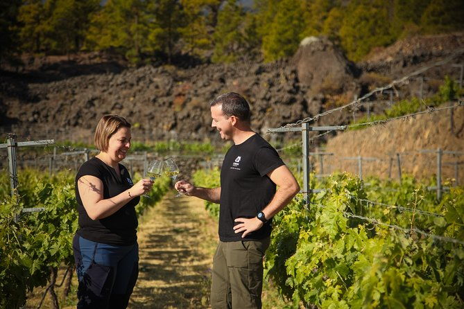 visit-to-arafo-mountain-vineyard-and-organic-wine-tasting