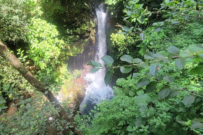 volcano-hike-oropendola-waterfall-hot-springs-experience