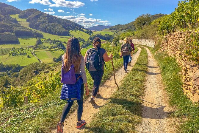 wachau-world-heritage-hike