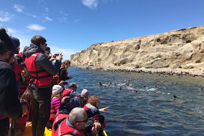 walk-alongside-penguins-on-magdalene-island-and-navigate-marta-island