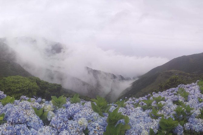 walking-trail-tour-faja-caldeira-santo-cristo