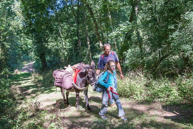 walks-and-hikes-with-donkeys