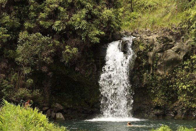 waterfall-and-rainforest-adventure