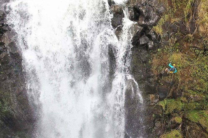 waterfall-rappelling-at-kulaniapia-falls-120-foot-drop-15-minutes-from-hilo