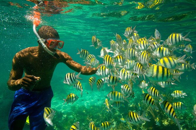watersports-activities-fishing-and-scuba-diving-in-falmouth