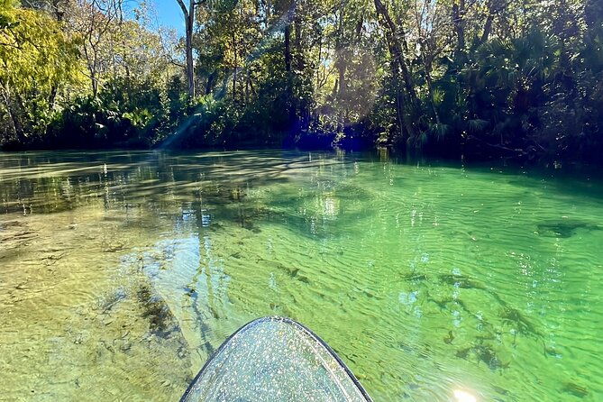 weeki-wachee-clear-paddle-board-ecotours