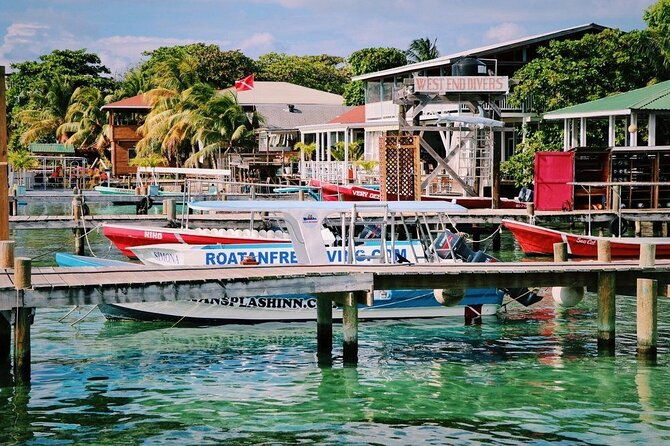 west-end-tour-choco-factory-rum-company-art-gallery-rusty-fish-and-more