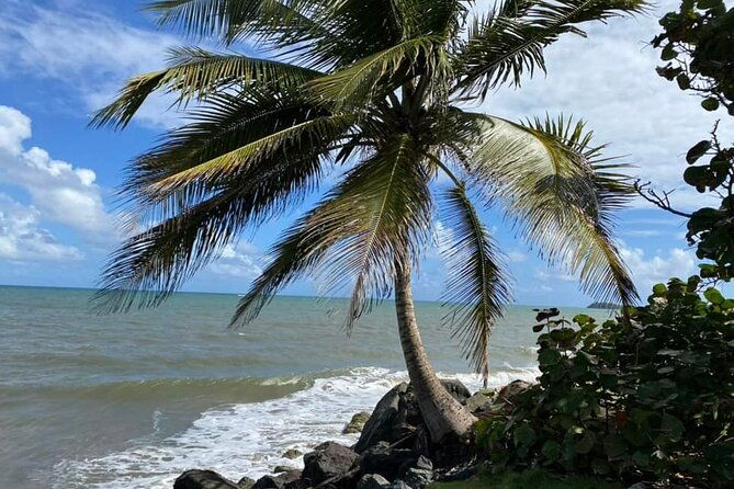 western-island-full-day-tour