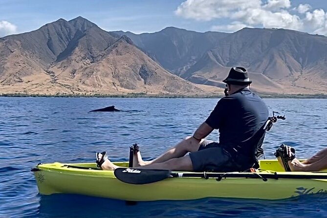 whale-watch-and-scenic-tour-from-kayak-2