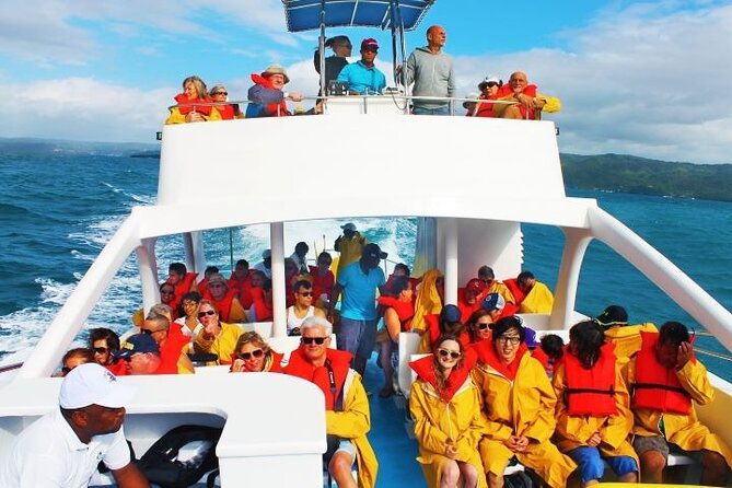 whale-watching-tour-with-la-farola-bacardi-island