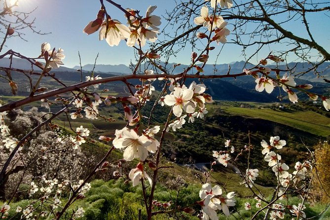 white-villages-ronda-2-days-tour-from-seville