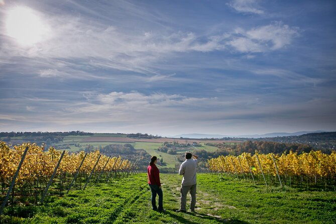 wieliczka-vineyard-wine-tasting-with-local-snacks