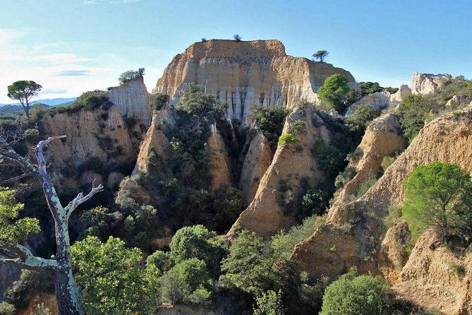 wild-organs-grand-landscape-plants-geology-birdsongs-3