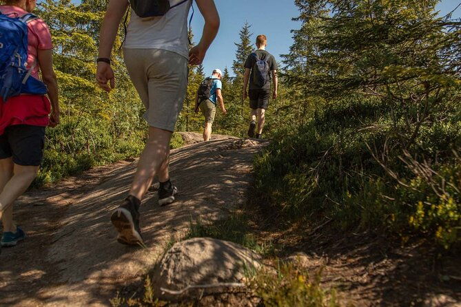 wildlife-forest-hike