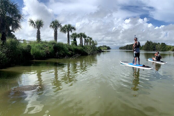 wildlife-refuge-sunset-dolphin-manatee-mangrove-kayak-or-paddleboarding-tour